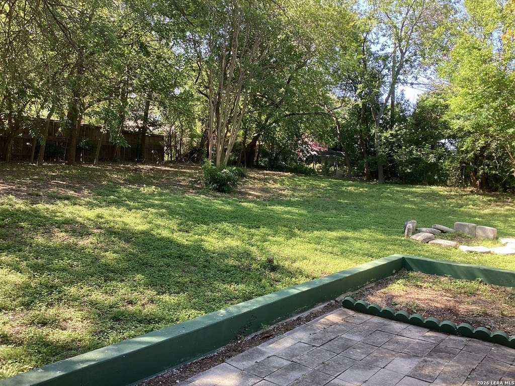 Picture 5
