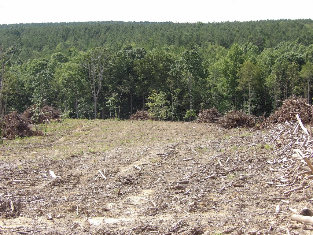 Picture 19