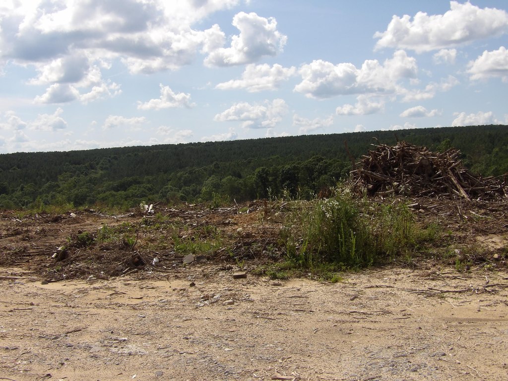 Picture 4