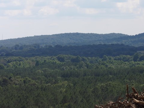 Land, Evensville, TN