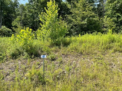 Land with Stunning Views
