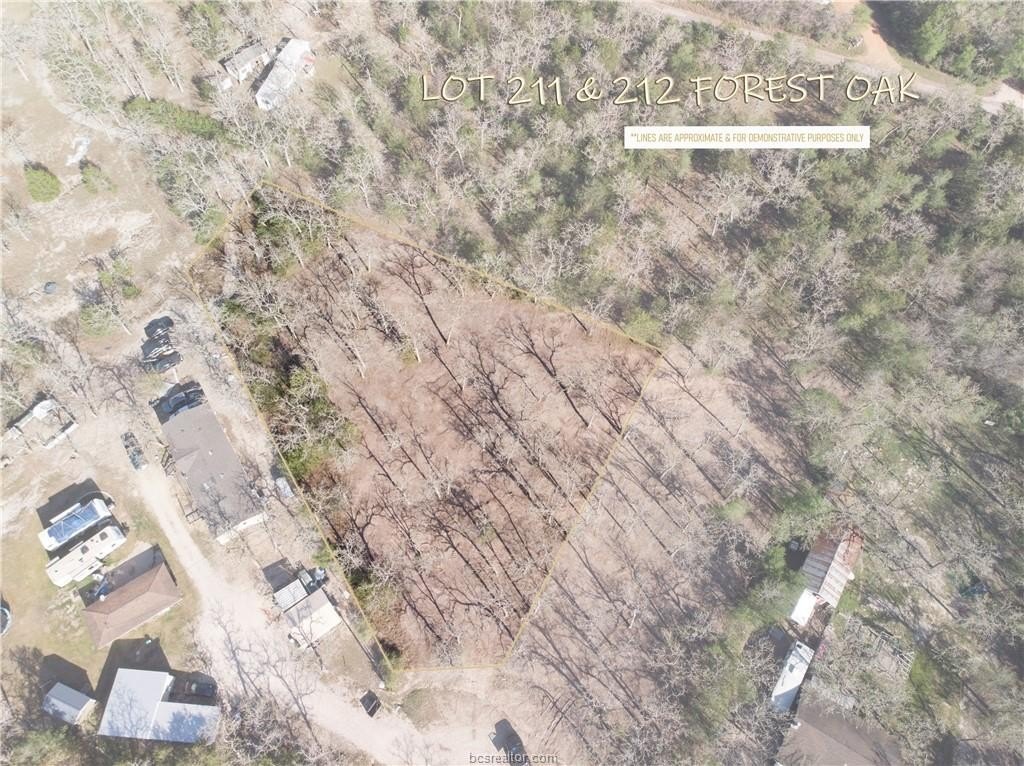 Cleared Land Near Lake Somerville