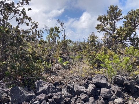 Land, Ocean View, HI
