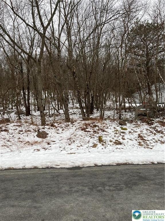 Wooded Lot in Winona Lakes
