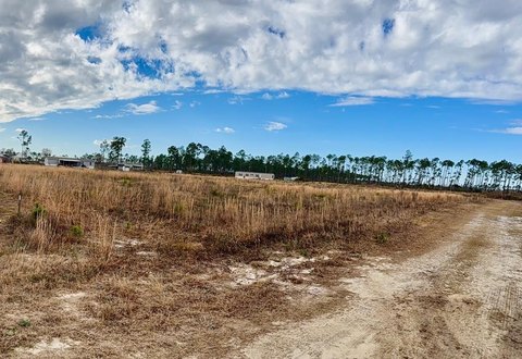 Cleared Lot Near Mexico Beach