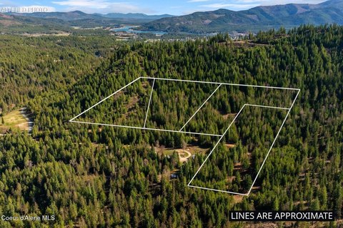 Timberland Hunting Property