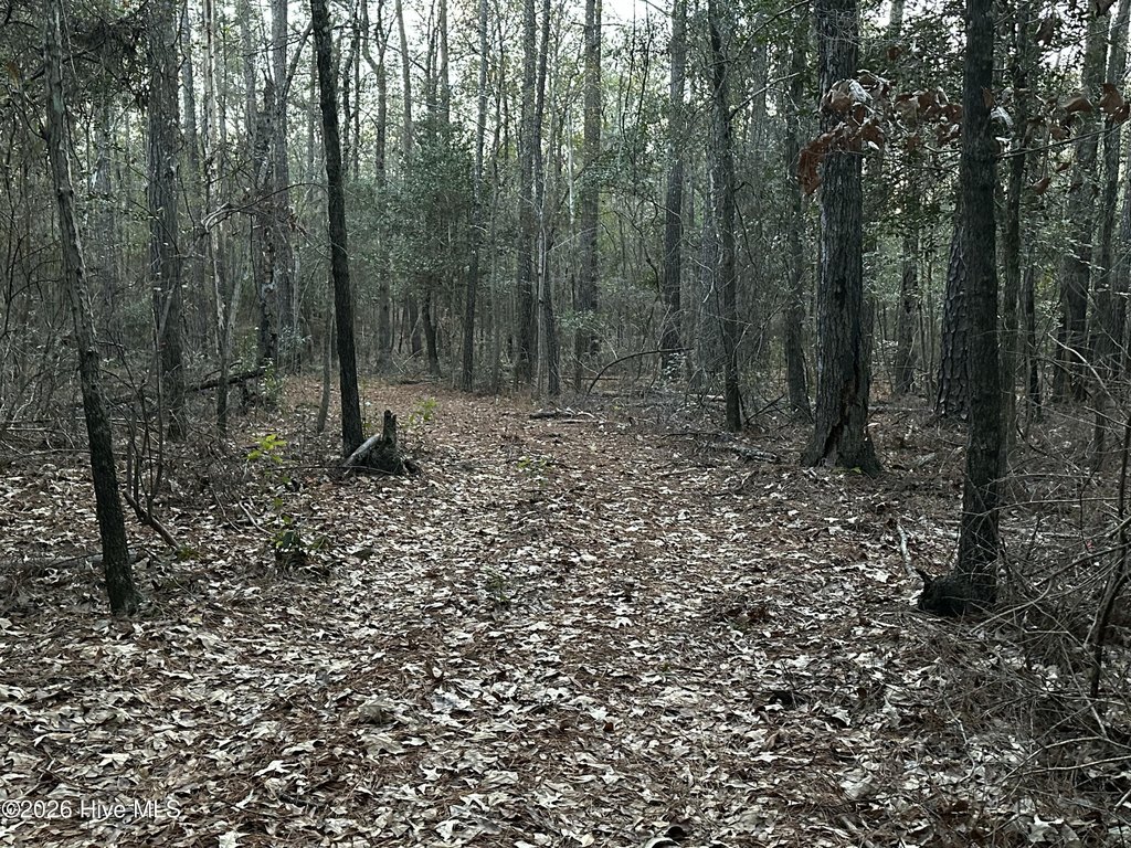 Picture 2