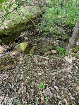 Unrestricted Wooded Acreage in Seymour