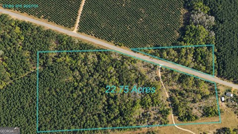 Land, Surrency, GA
