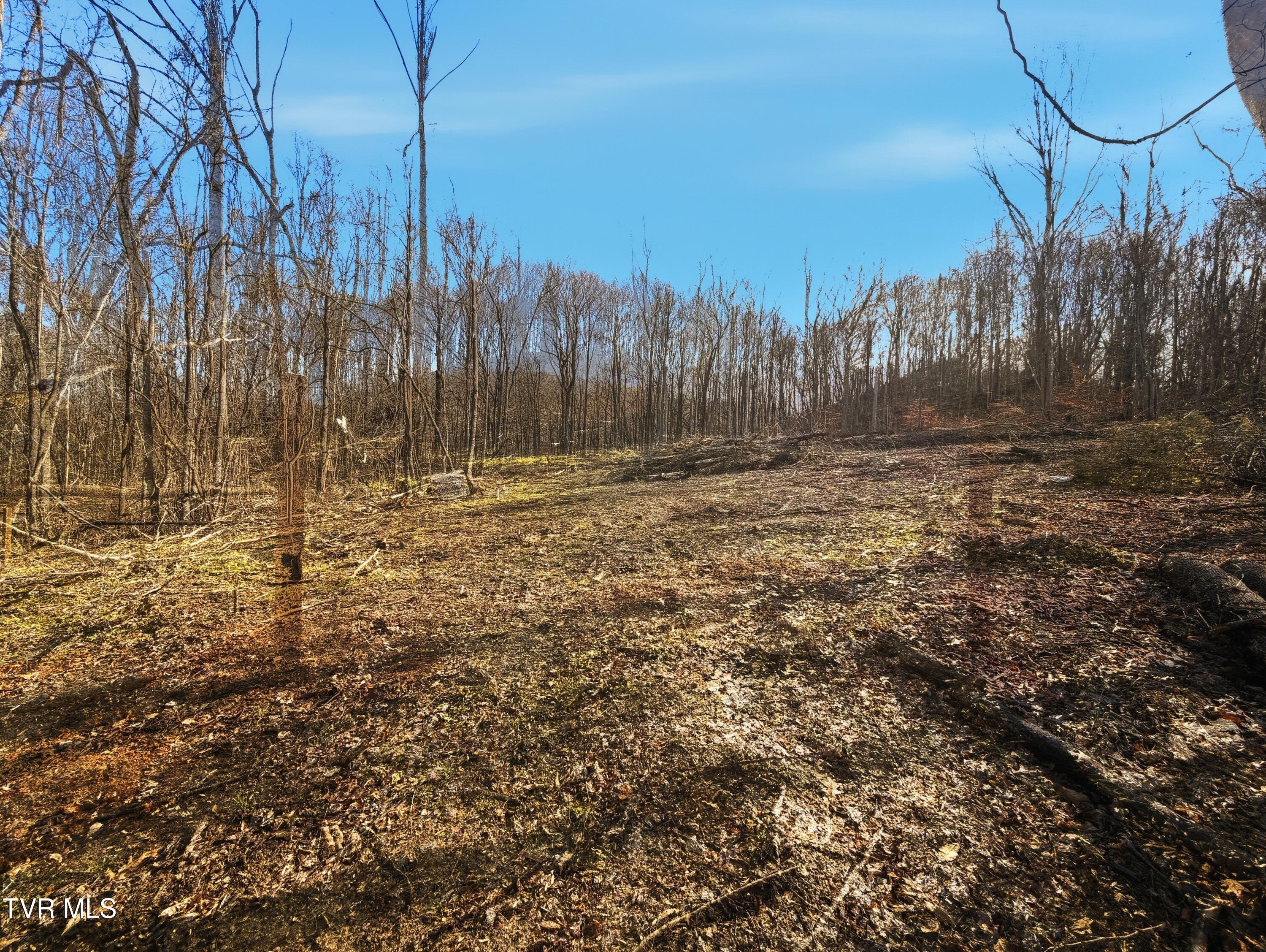 Acreage in Limestone, Tennessee