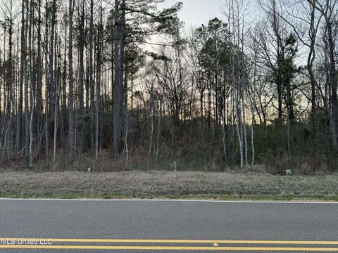 Residential Land in Brandon, MS
