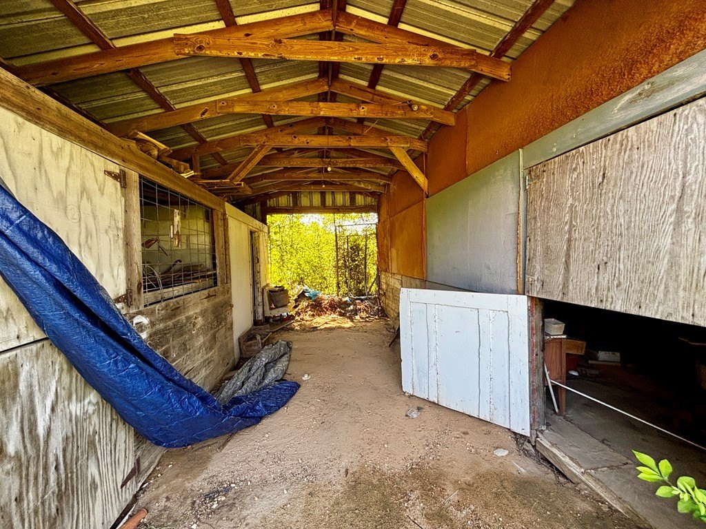 Picture 38