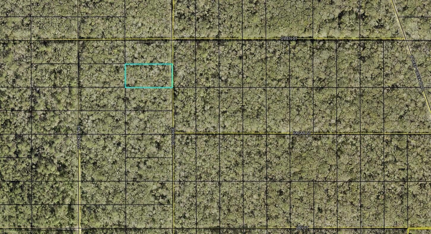 Land in Flagler Estates