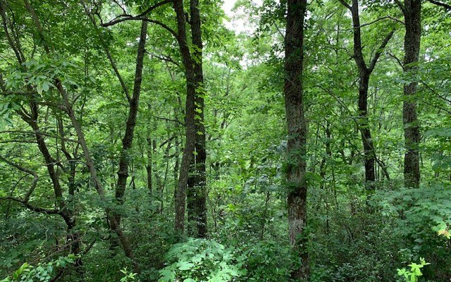 Hayesville NC Vacant Lot