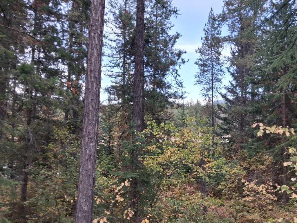 Picture 3