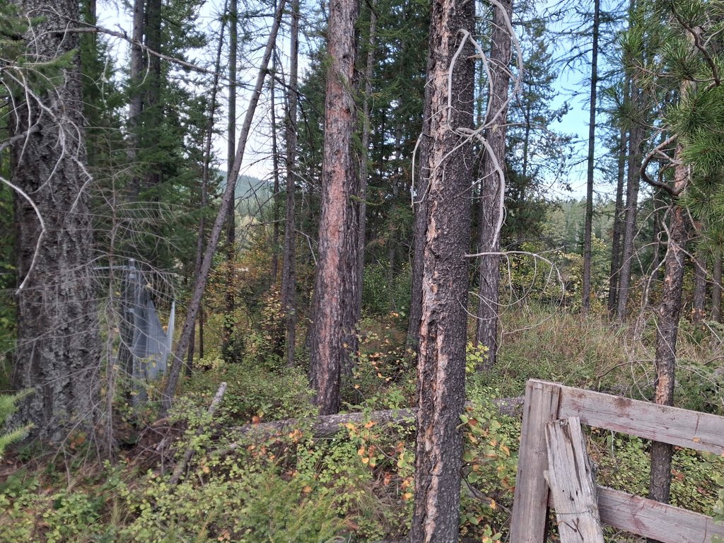Picture 5
