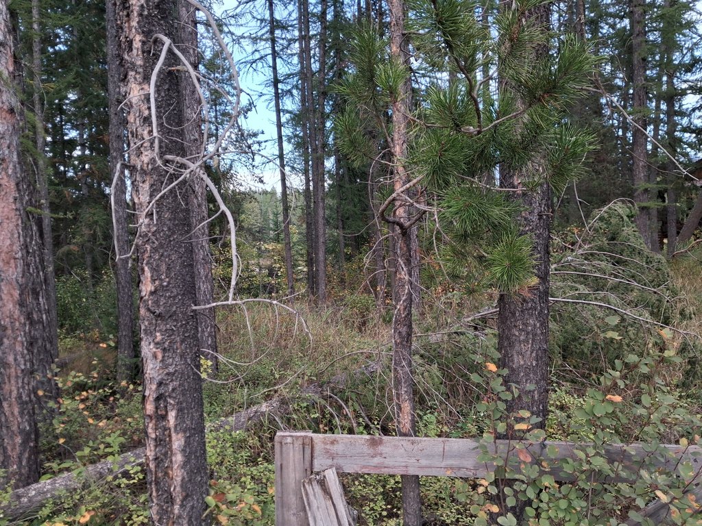 Picture 6