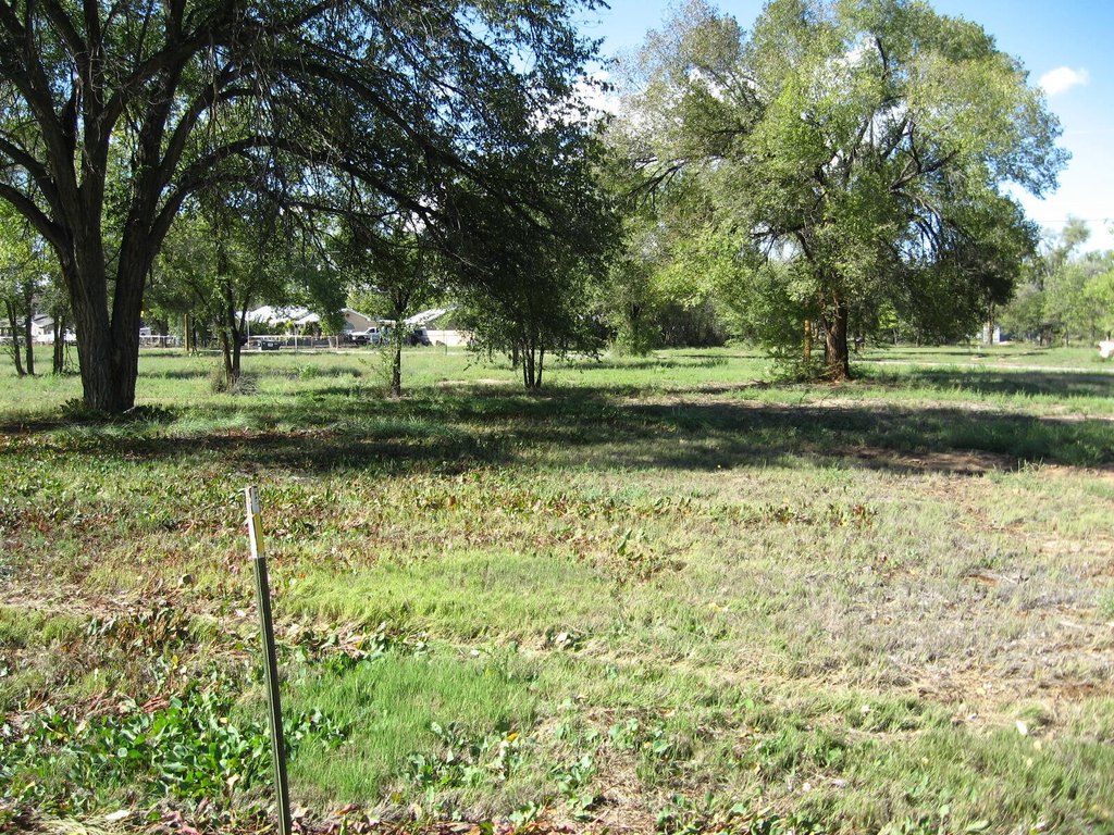 Picture 7