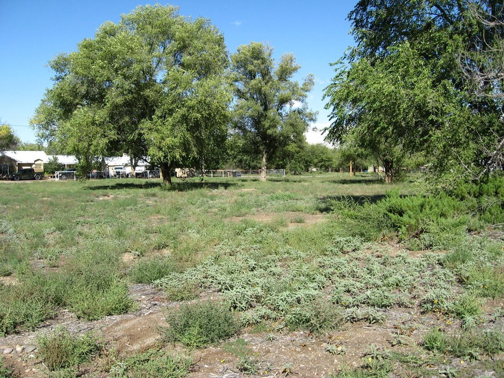 Picture 10