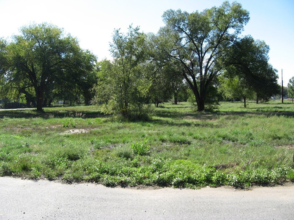 Picture 4