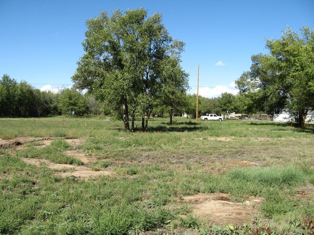 Picture 6