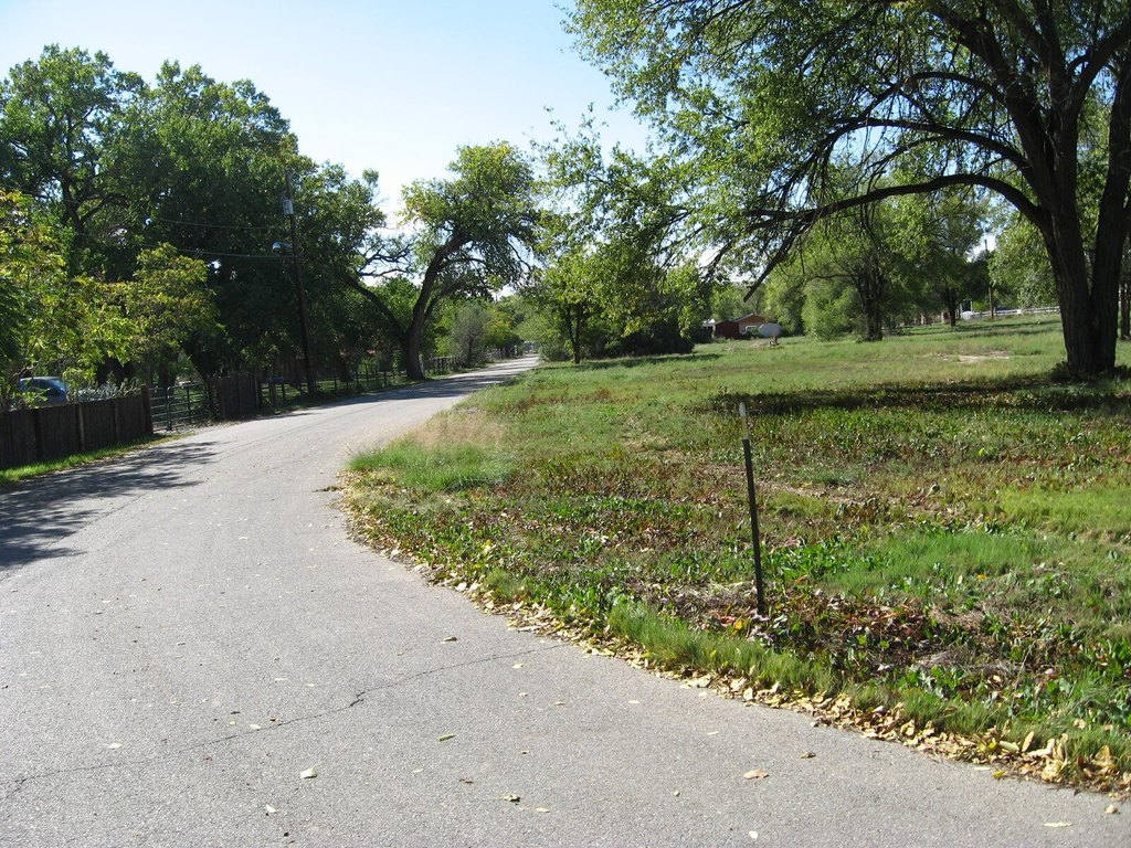 Picture 3