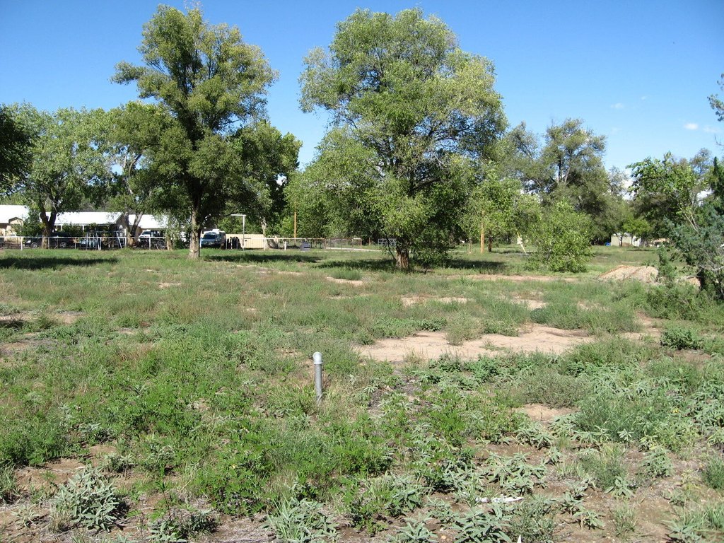 Picture 9