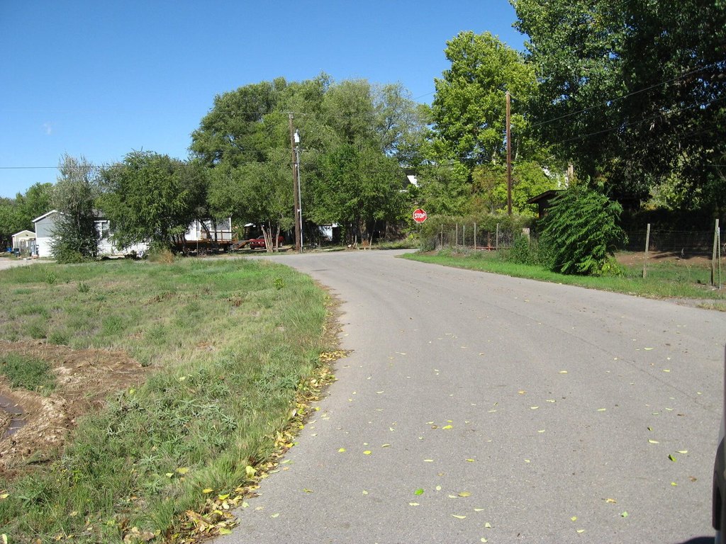 Picture 8