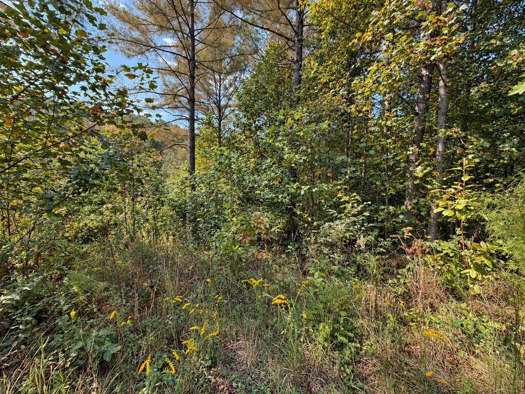 Picture 21