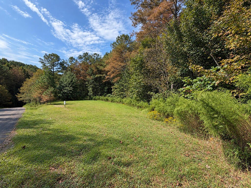 Picture 9