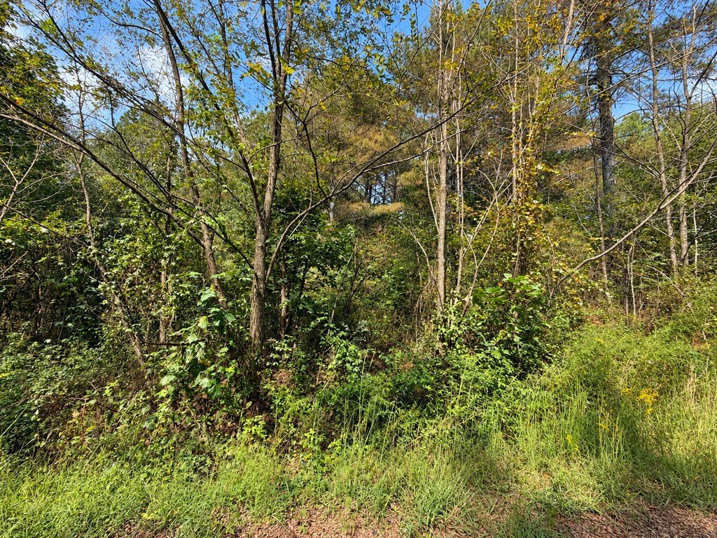 Picture 17