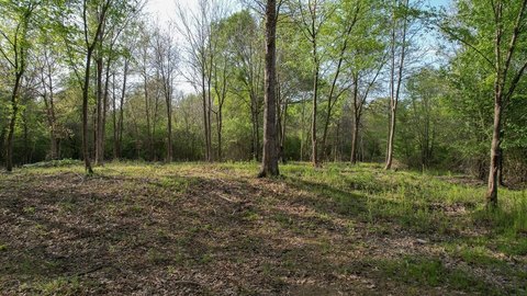 Recreational Land in DeKalb, TX