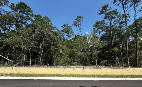 Residential Lot in Deer Moss Creek