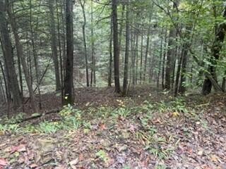 Mountain-Access Hunting Land