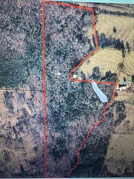 Unrestricted Land in Haleyville, AL