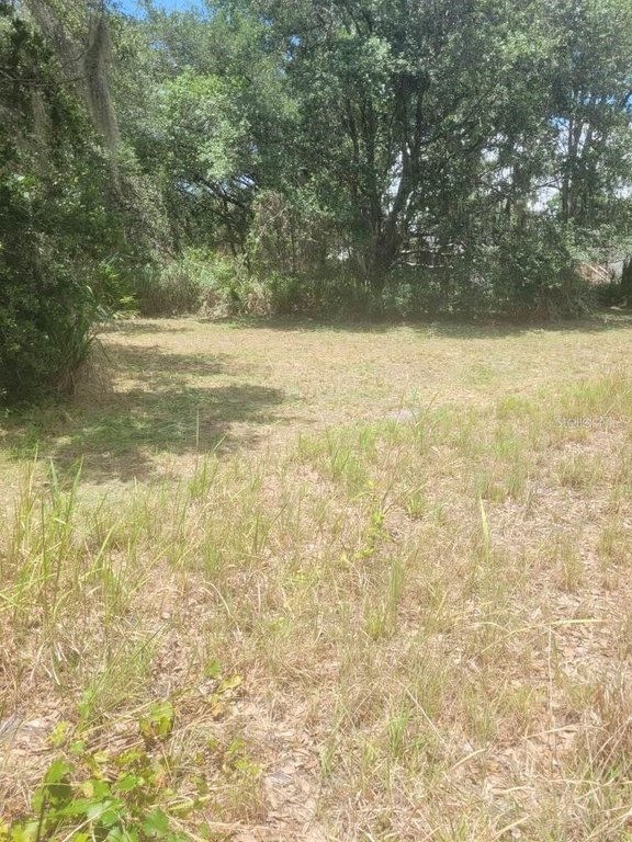 6631 Merle St, Mulberry, FL 33860