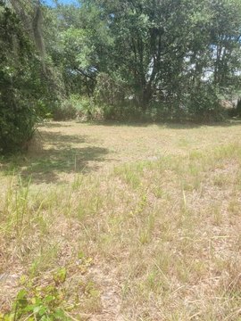 Land - MULBERRY, FL