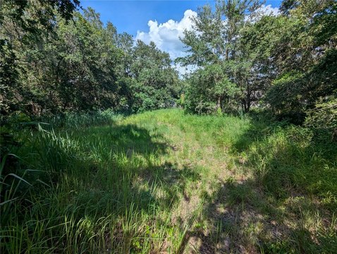 Land - MULBERRY, FL