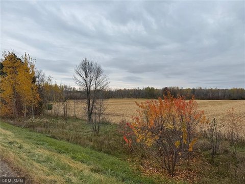 Mora, MN: 40 Acre Land