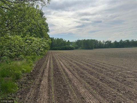 Mora, MN - 40 Acres