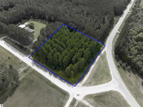 Vacant Lot/Land, Alden, MI