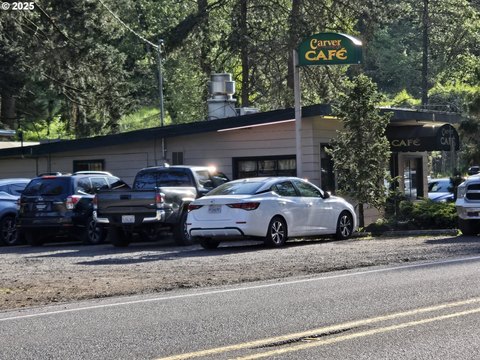 Commercial Land with Established Business