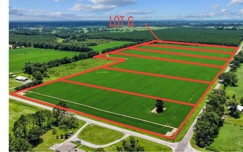 Chiefland, FL Ten-Acre Tract