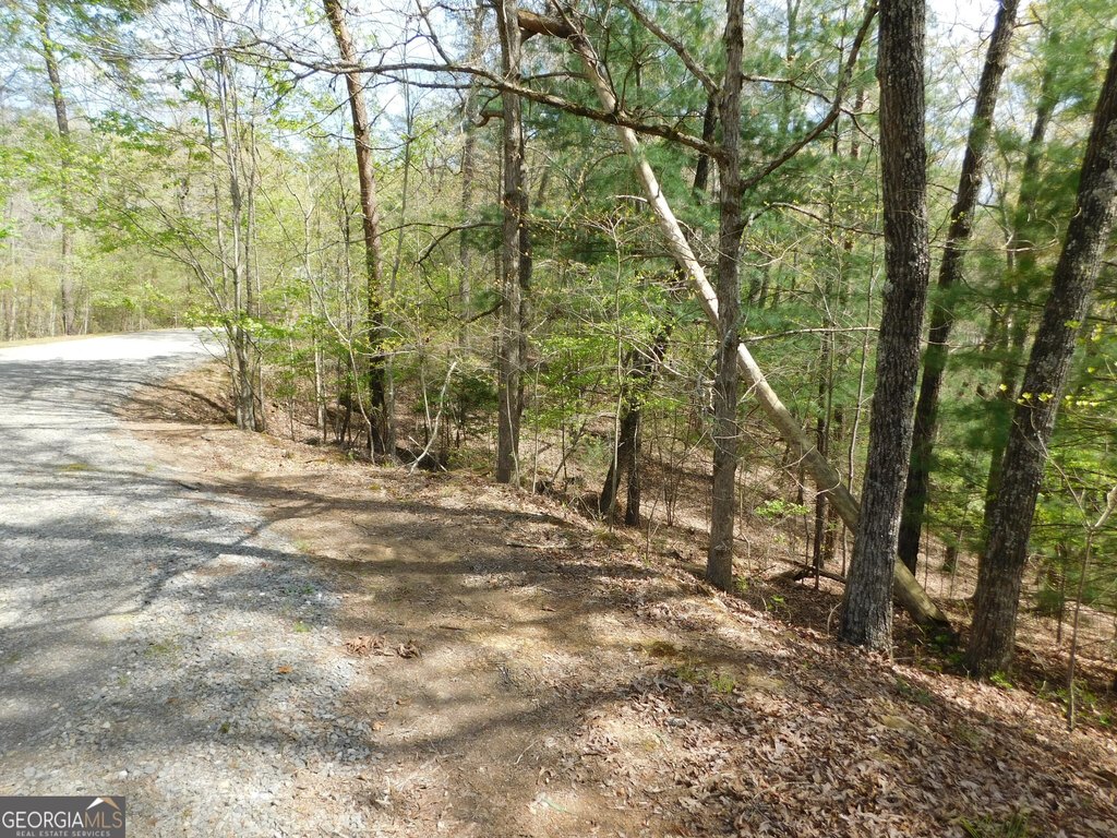 Picture 14