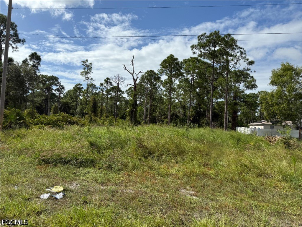 Picture 3