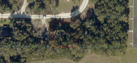 LAND - OCALA, FL