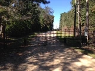 Picture 3
