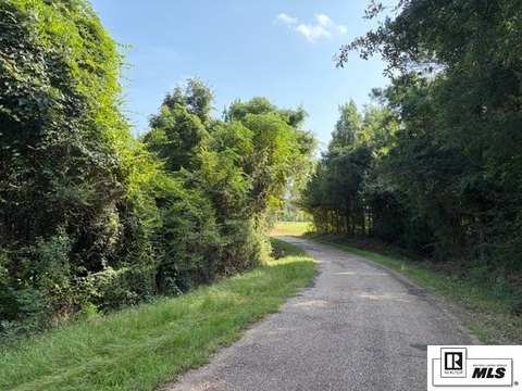 Timber Hunting Land Tract