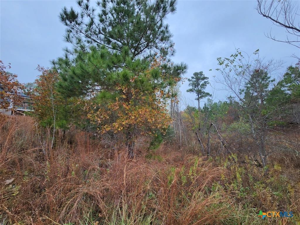 Picture 4