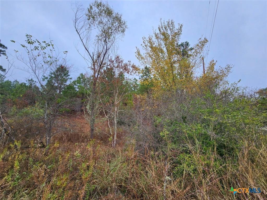 Picture 5